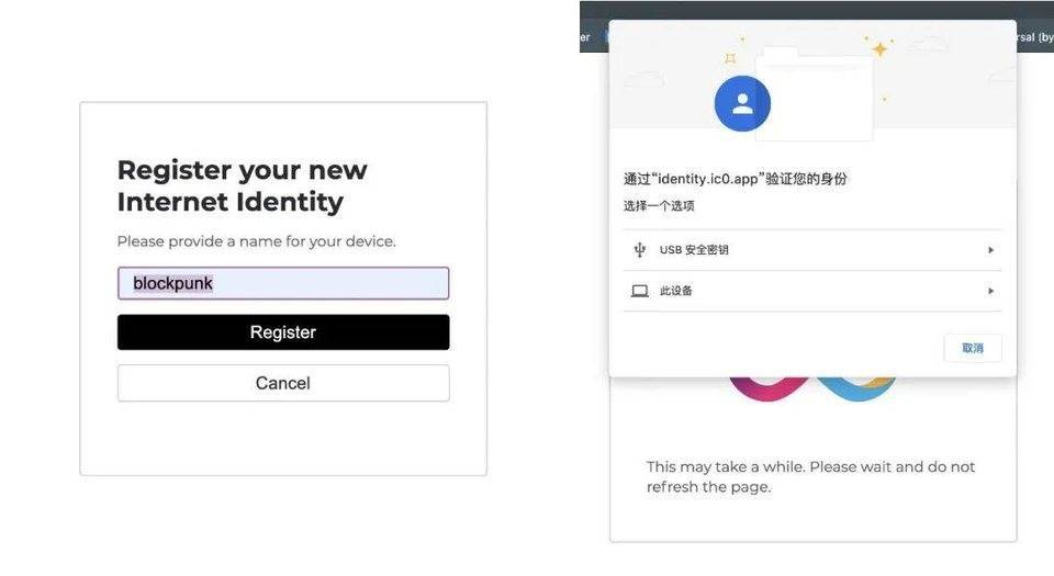 入门 DFINITY 钱包与治理软件
