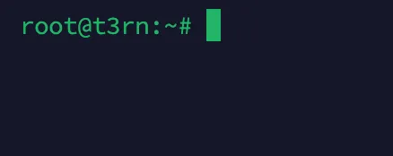 Remember when you will see something similar to root@t3rn: It indicates that the next command can now be pasted