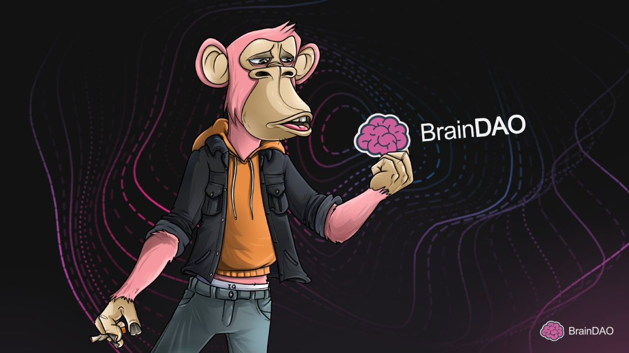 BrainDAO对IQ代币进行了有史以来最大的更新