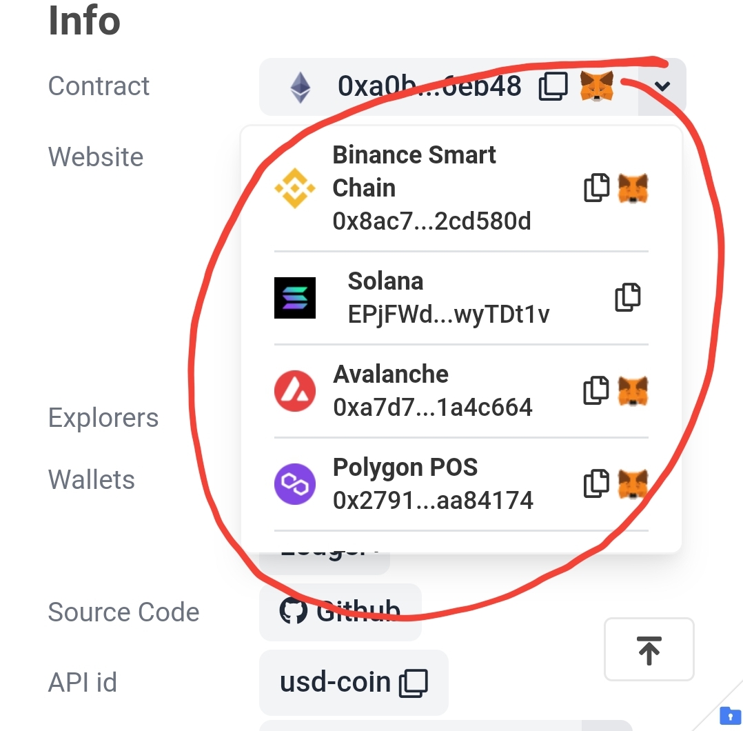 info section on coingecko