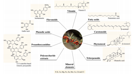 DOI: 10.1039/d0ra06488b