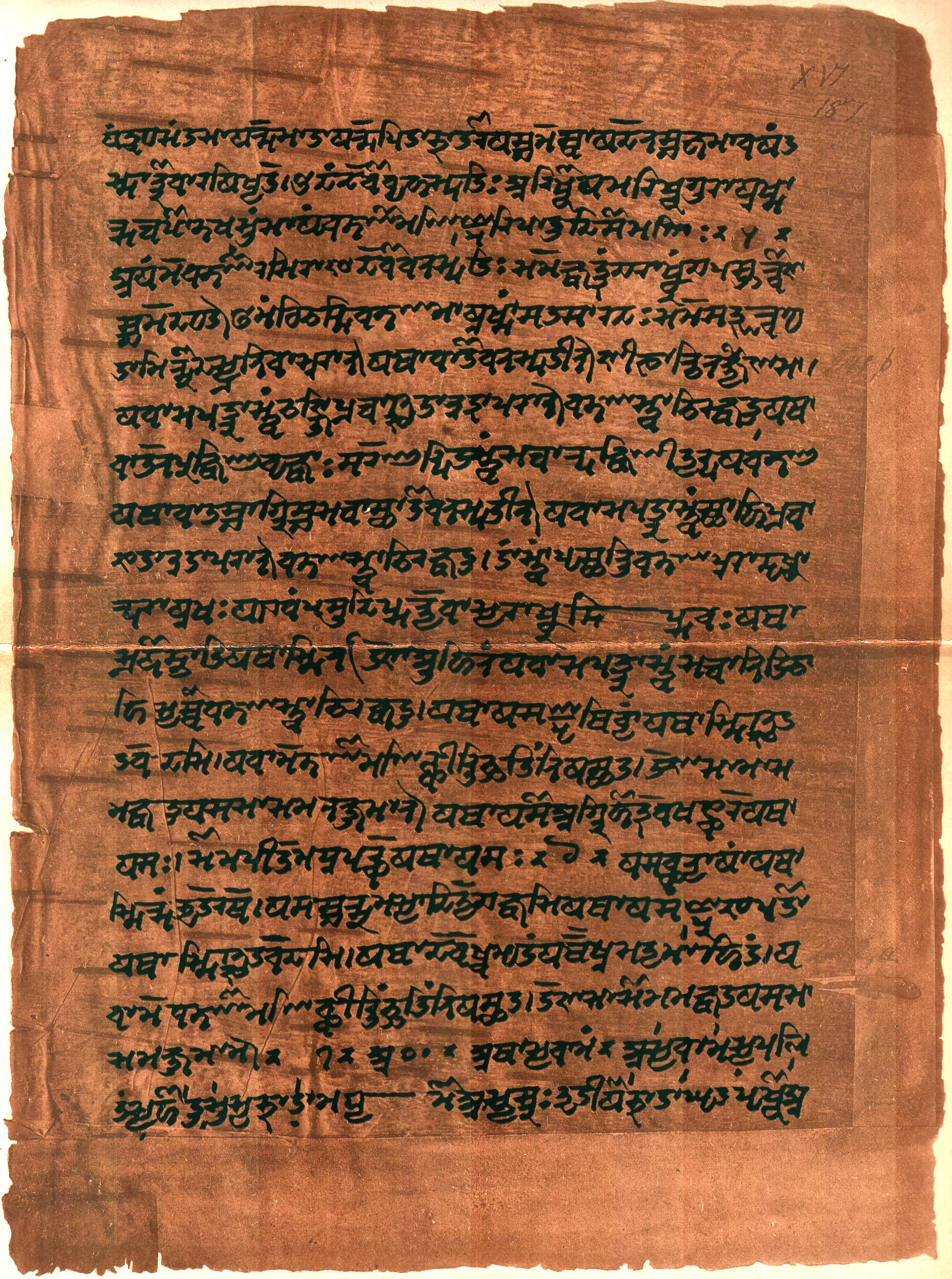 阿闥婆吠陀 Atharva-Veda 典籍中的一頁