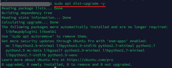 sudo apt dist-upgrade -y