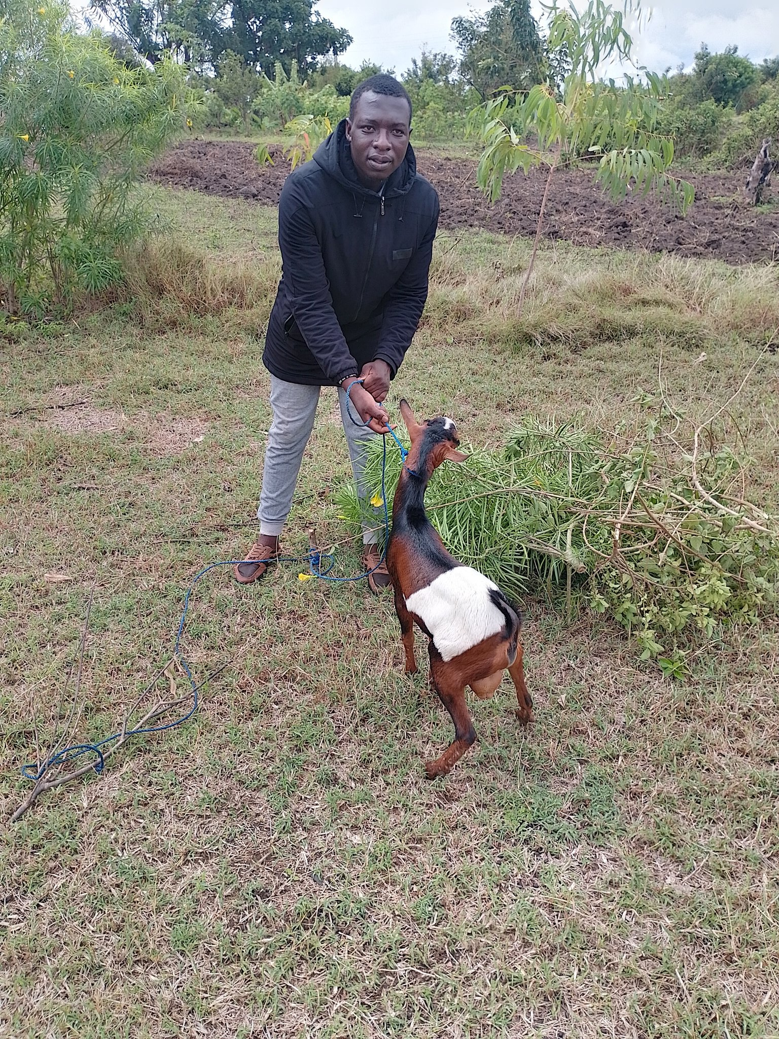 Source: Richard Opany pictured with one of his goats, as shared on X with the caption 