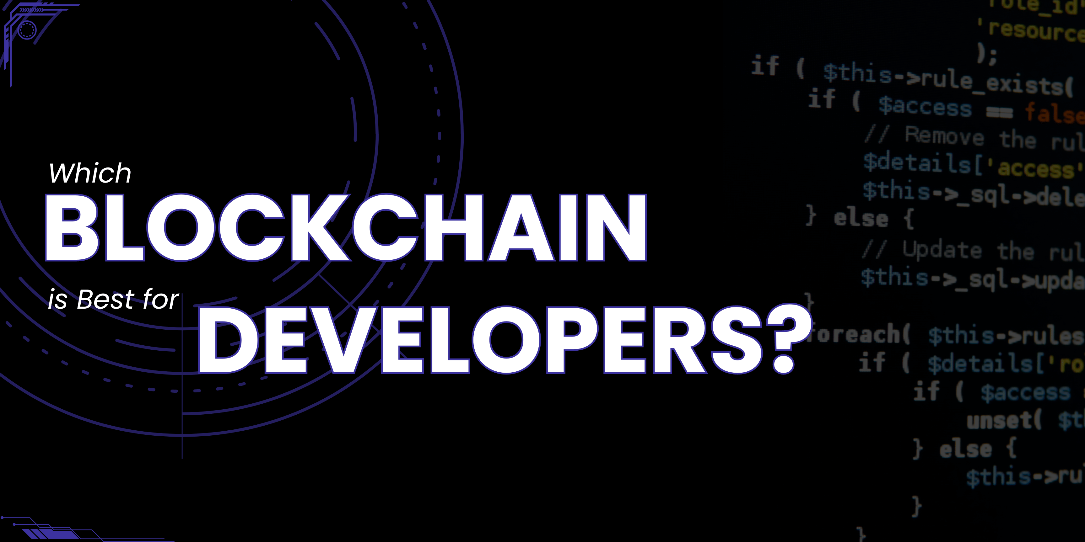 The Developer's Guide (2024)! Which Blockchain is Best for Developers? | Wisewaytec