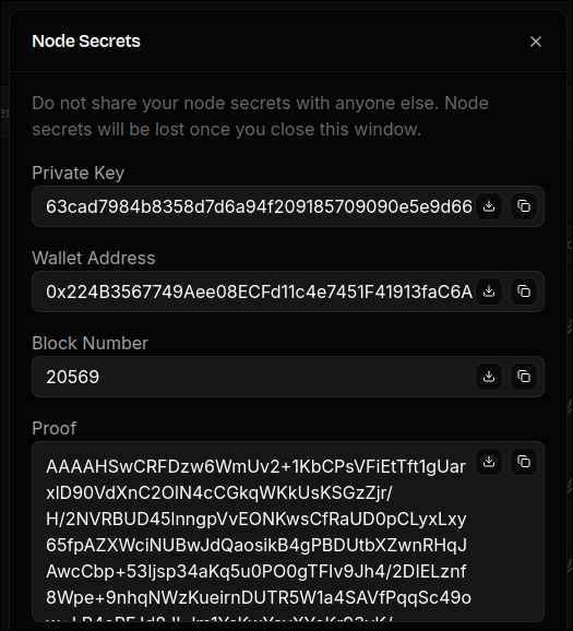 After Clicking Initiate Node