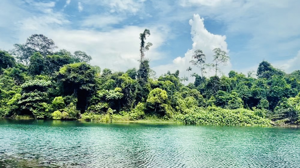 MacRitchie Reservoir Park