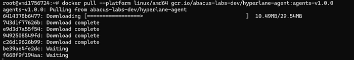 What's happening: We're pulling the Hyperlane agent image from the GitHub repository.
