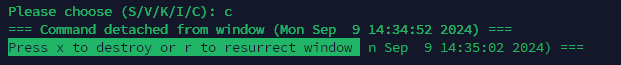 Press x to destroy or r to resurrect window  n