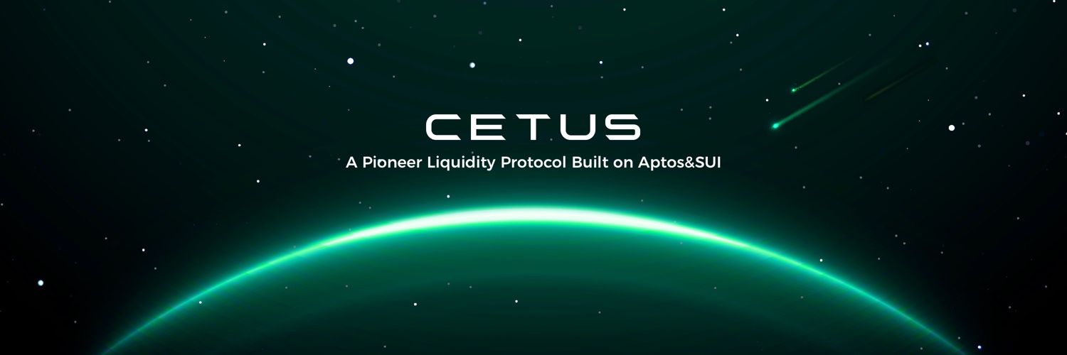 Pioneer DEX and Concentrated Liquidity Protocol built on Sui.