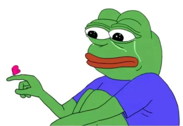 图1-2 Pepe 蛙的表情包之一，图源：Google 图片搜索