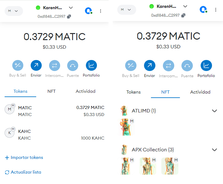 Wallet con Tokens y NFTs 