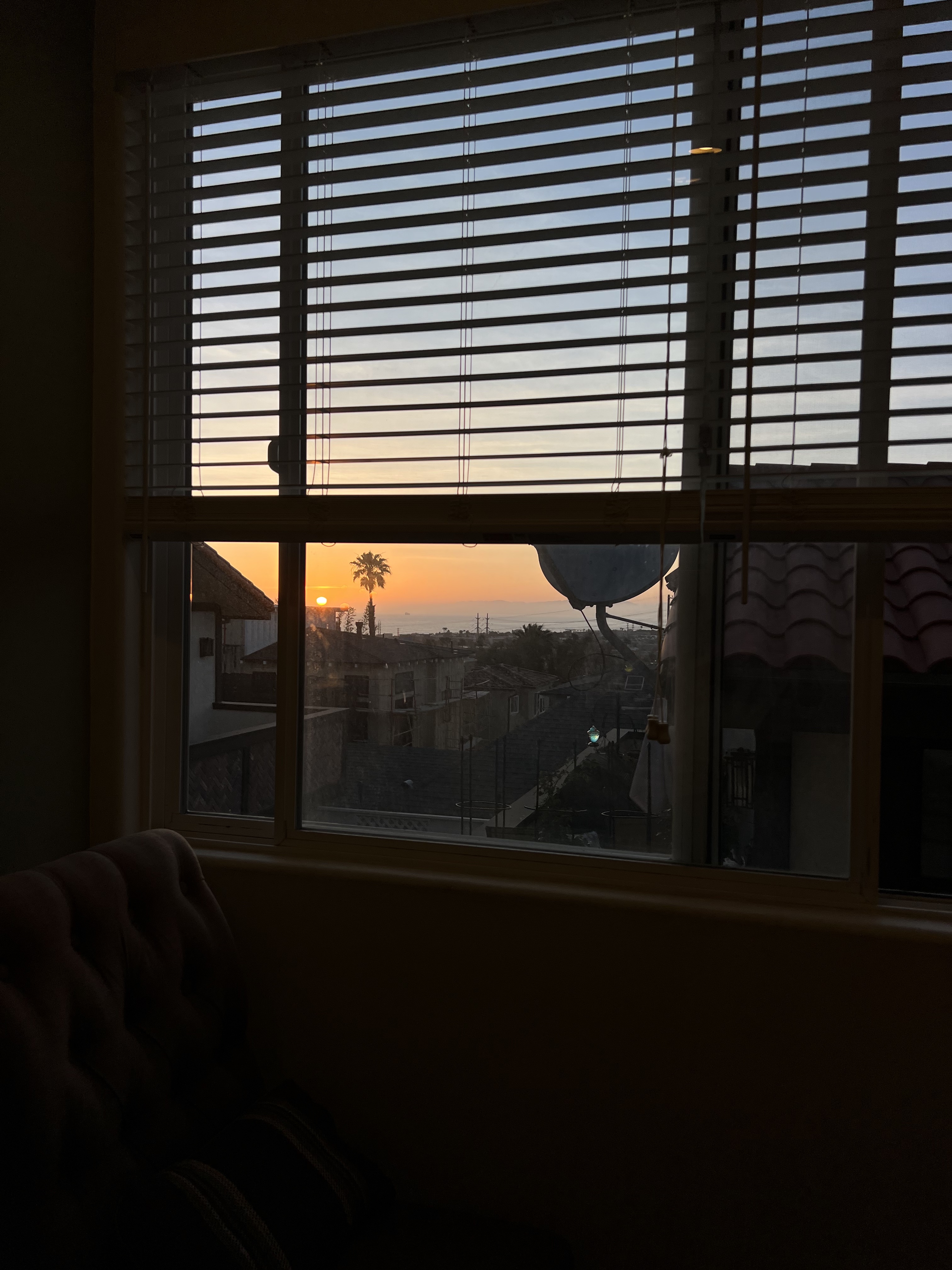 The evening I sent my resignation email & started to recover from my anxiety attack.