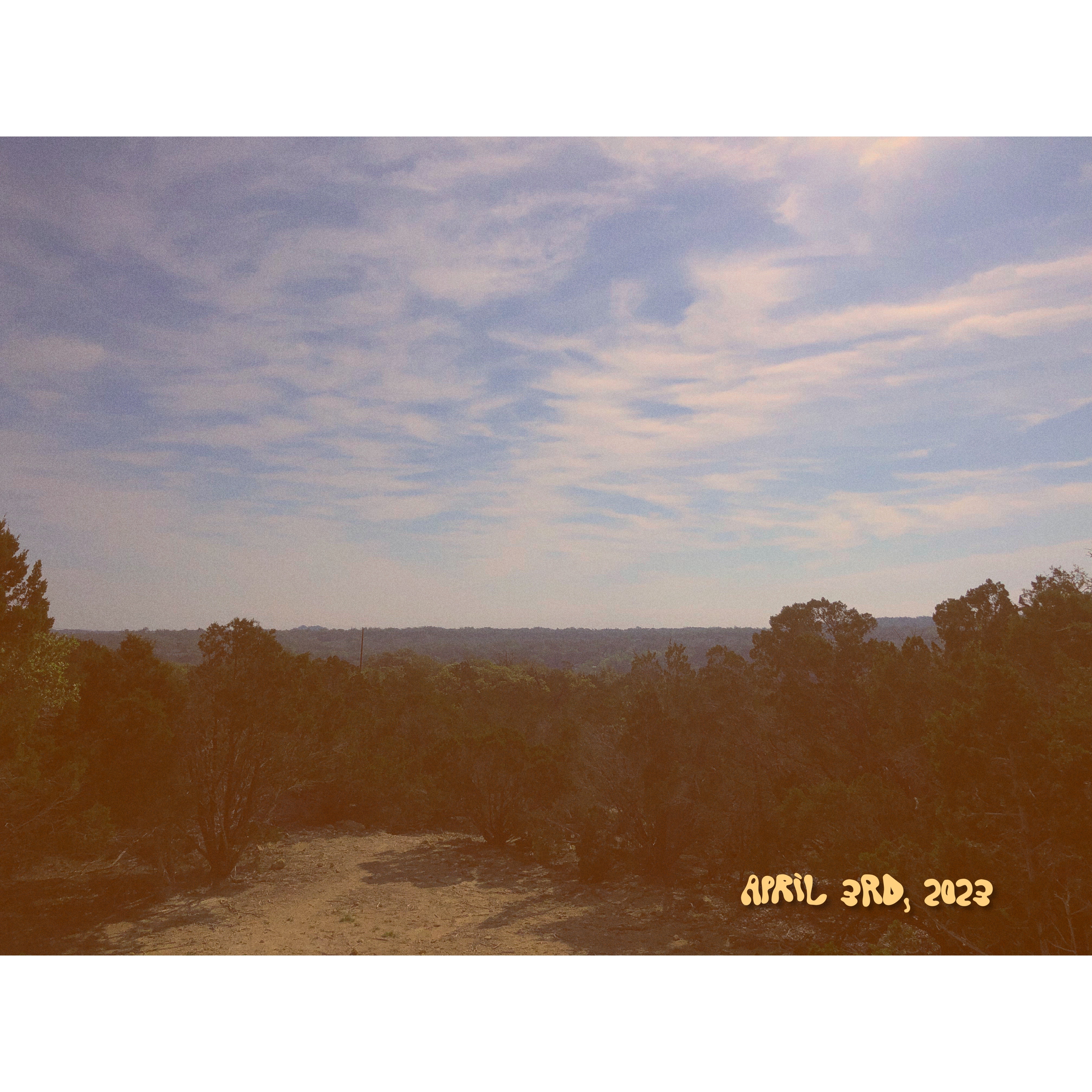 View from the back porch