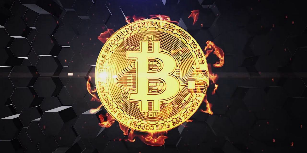 Card Header