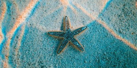 Card Header