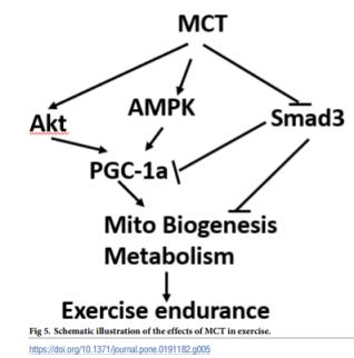 https://doi.org/10.1371/journal.pone.0191182