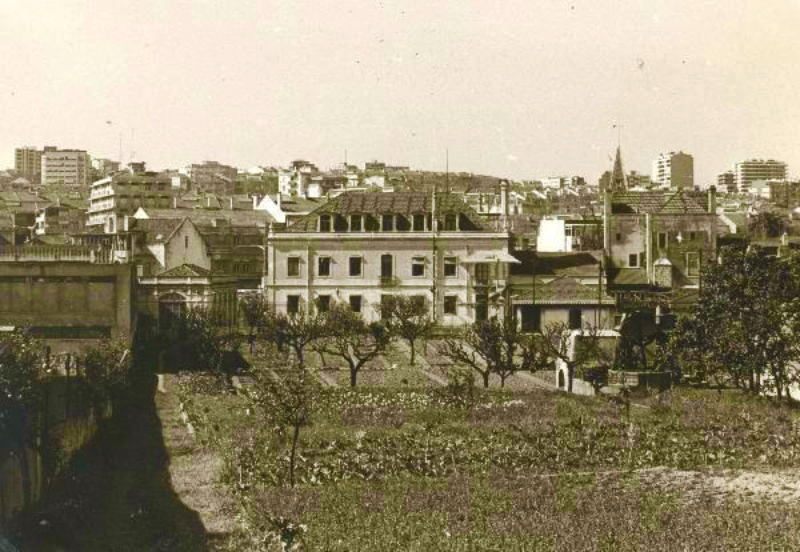 Vista geral de fachadas posteriores e campos fronteiros. 