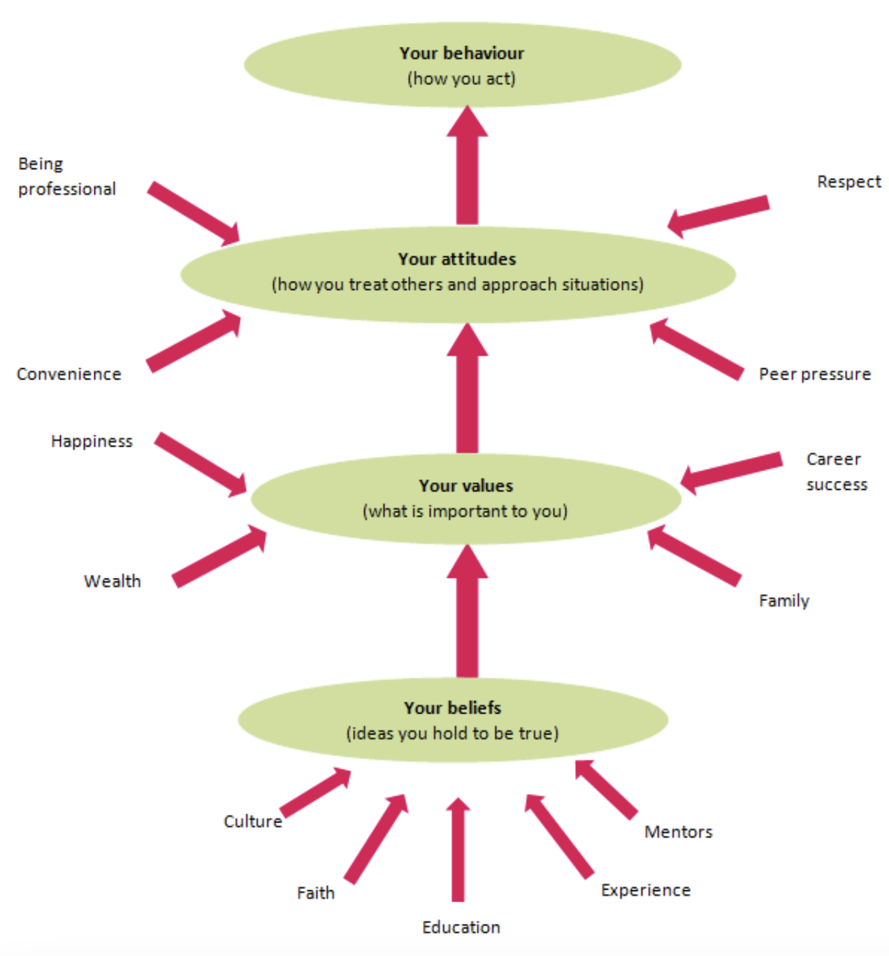 Aspects of our lives that shape our beliefs, values, attitudes, and behavior.