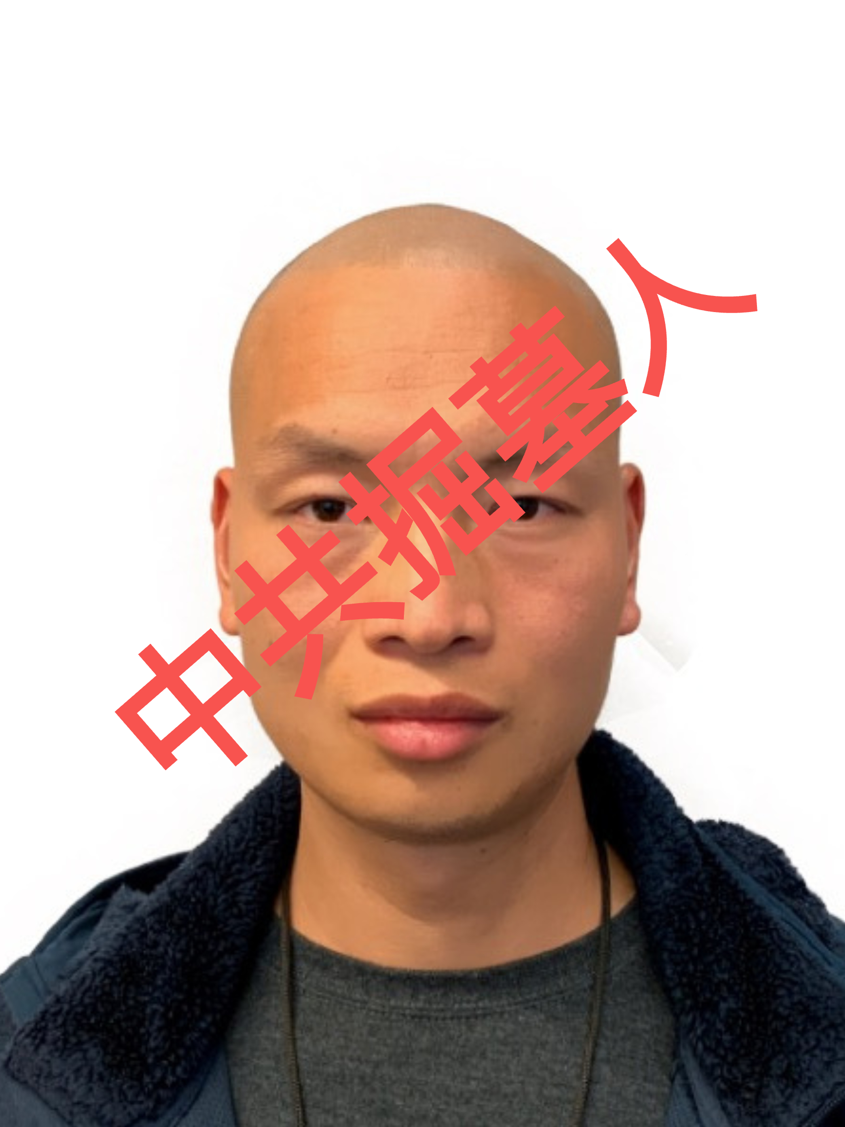 中共掘墓人/The Gravediggers of the CCP