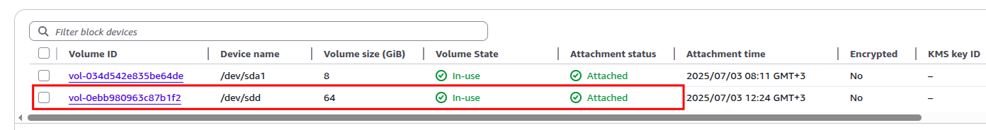 64GiB volume attached