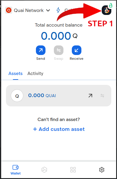 Step 1: Accessing Pelagus Wallet Accounts